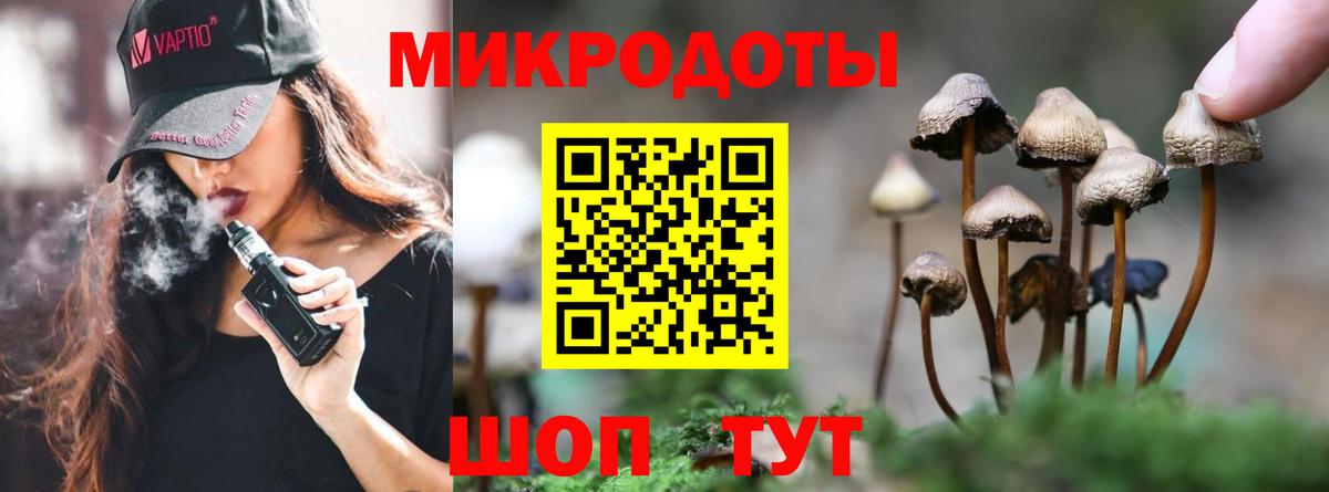 Галлюциногенные грибы GOLDEN TEACHER Нижнеудинск