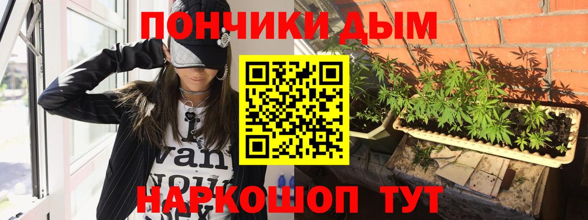 Бошки марихуана планчик Нижнеудинск